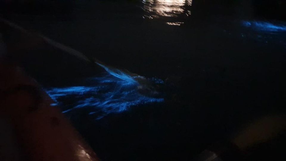 Sunset and Plankton Bioluminescent Night Kayaking - Pricing Information