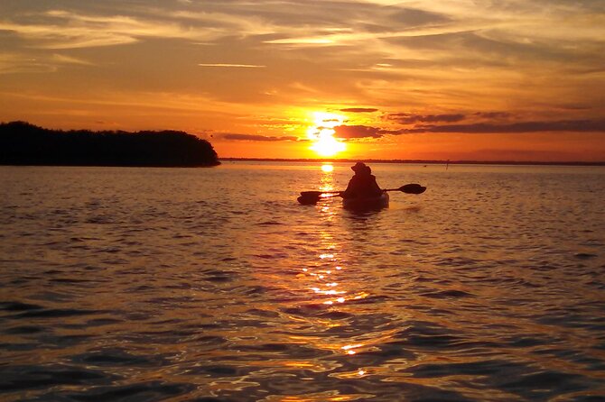 Sunset Bioluminescence Tour - Equipment Provided and Recommendations