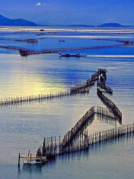 Tam Giang Lagoon Full-Day Tour From Hue - Booking Process