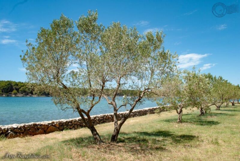 Taxi Boat to Košljun Island (Monastery Island) - Operating Hours and Seasons