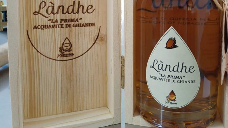 Tempio Pausania: Visit a Distillates Workshop With Tasting - Accessibility Information