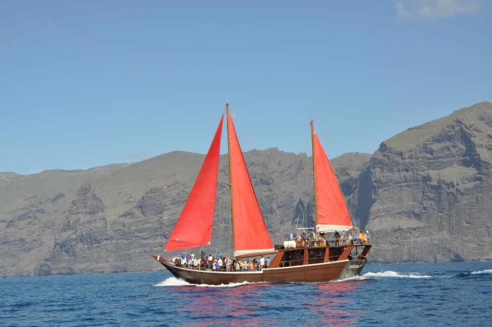 Tenerife: 5-Hour Whales and Dolphins Tour - Transportation and Pickup