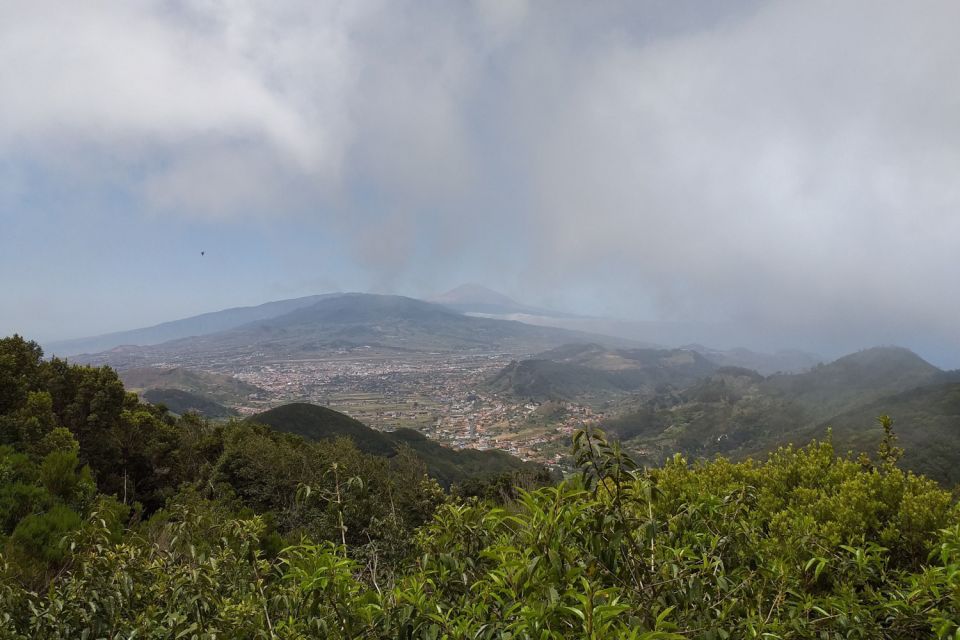 Tenerife: Anaga UNESCO VIP TOUR - Group Size and Languages