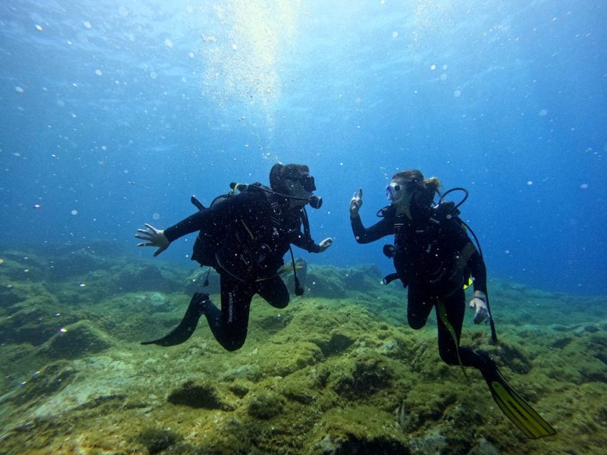 Tenerife: Beginners Dive at a Spot With Turtle Sightings - Inclusions and Exclusions