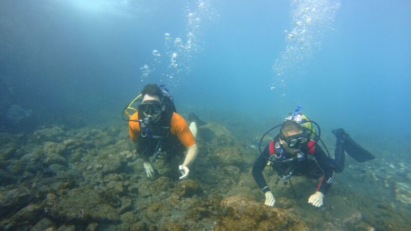 Tenerife: Discover Scuba Diving With Free Photos - Customer Feedback