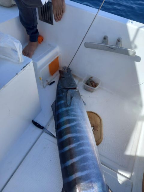 Tenerife: Fishing Boat Trip - Equipment and Accessibility