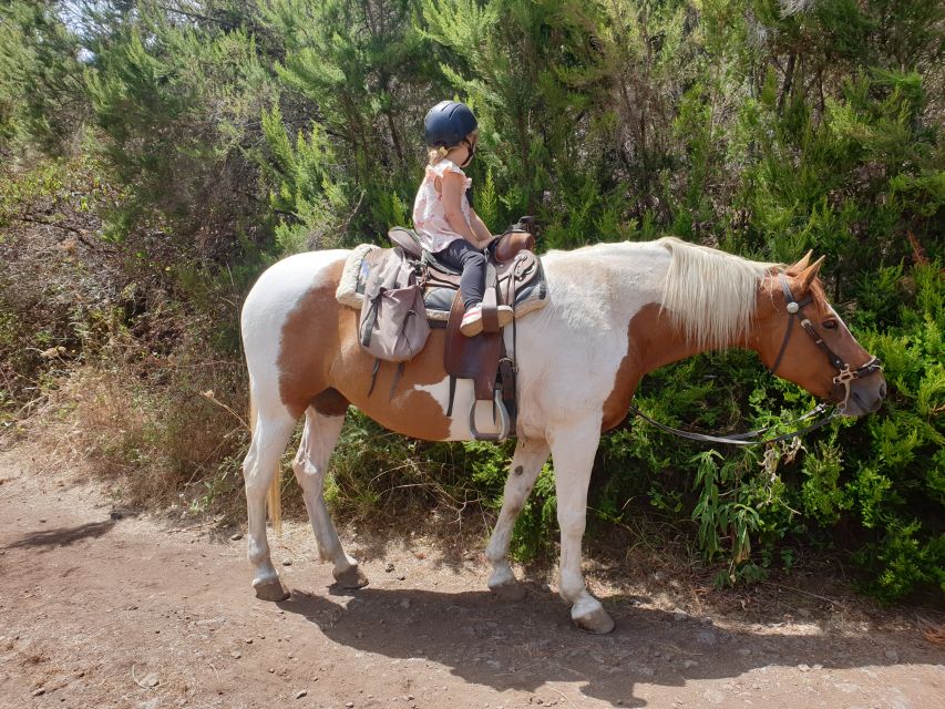 Tenerife: Guided Horseback Riding Tour to the Lomo Forest - Suitable Attire