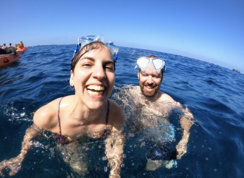 Tenerife: Kayak Safari and Sea Turtle Snorkeling - Inclusions and Exclusions