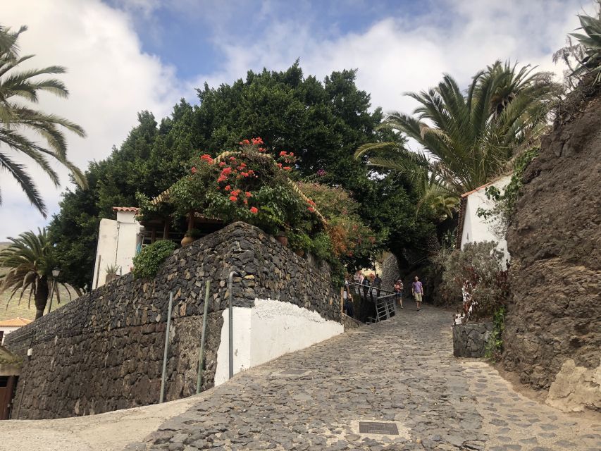 Tenerife: Mount Teide, Masca, Icod and Garachico Day Trip - Discovering Icod De Los Vinos