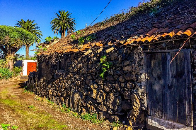 Tenerife North Private Tour: Through Villages and Ports - Customer Feedback