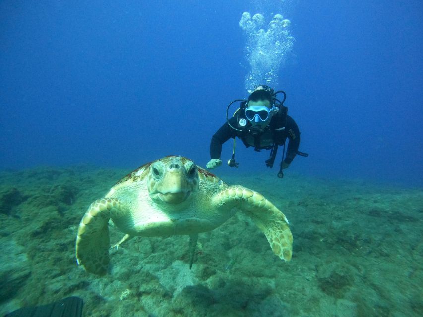 Tenerife: PADI Open Water Diver Course - Marine Life Exploration