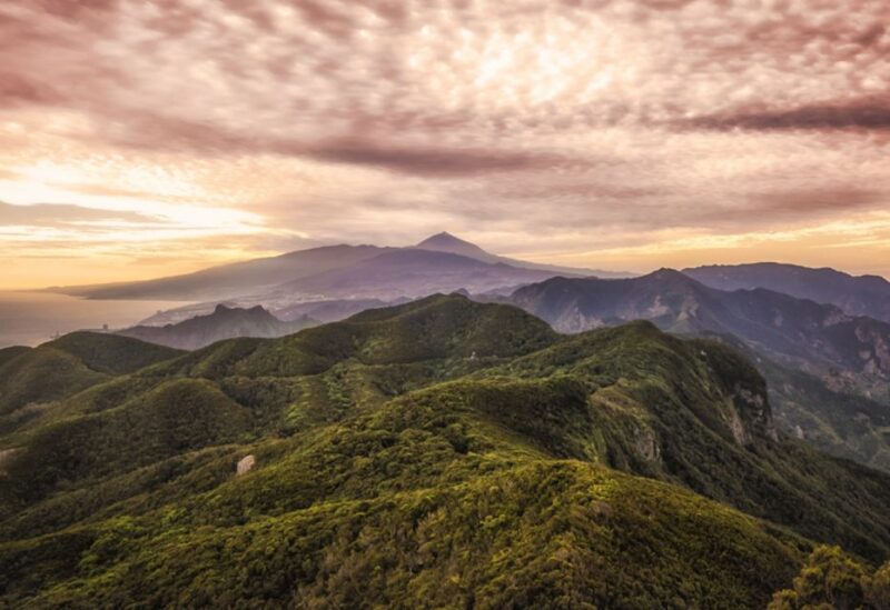 Tenerife: Private Taganana and Anaga Day Trip With Pickup - What to Bring and Restrictions