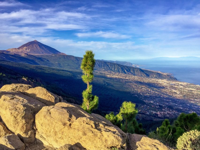 Tenerife Private Tour: Teide and Flavors of The North - Discover Agricultural Traditions