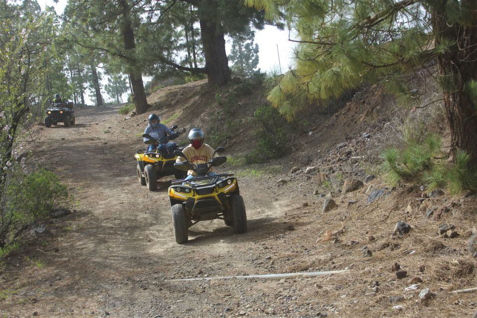 Tenerife: Quad Bike Off-Road Adventure - Customer Feedback