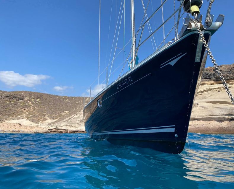 Tenerife: Sailing Excursion With Whale and Dolphin Watching - Onboard Amenities