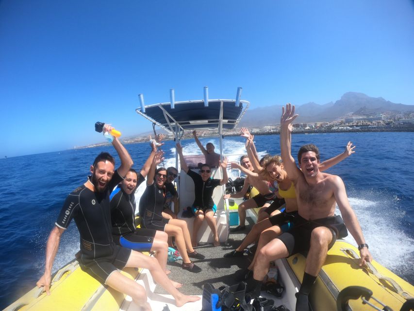 Tenerife: Snorkeling Trip in a Turtle Habitat - Customer Feedback and Ratings