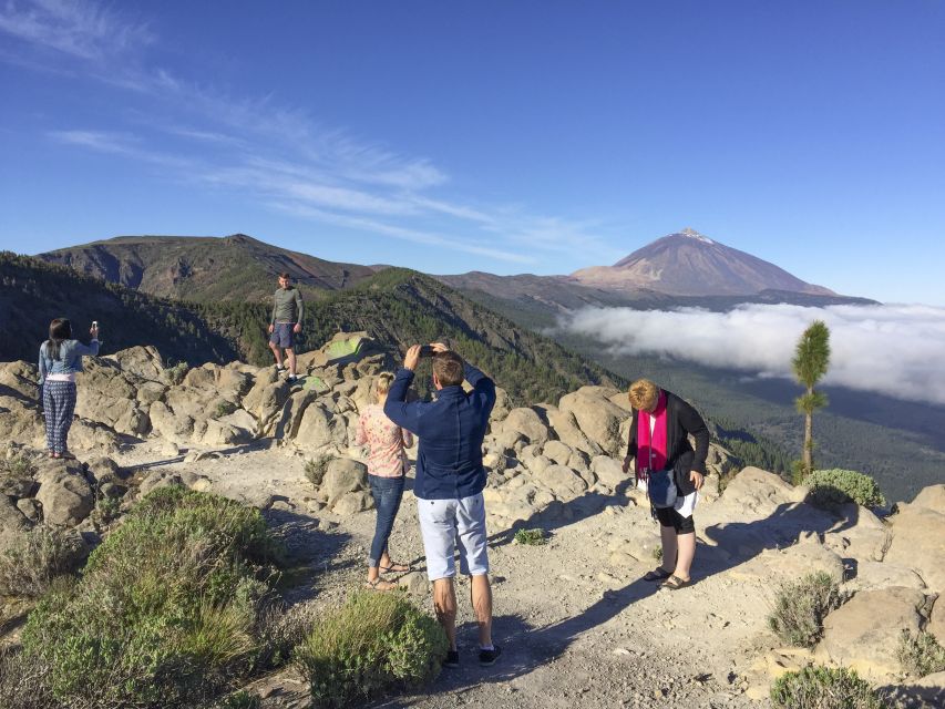 Tenerife: Teide National Park & Teno Rural Park Private Tour - Customer Reviews and Ratings