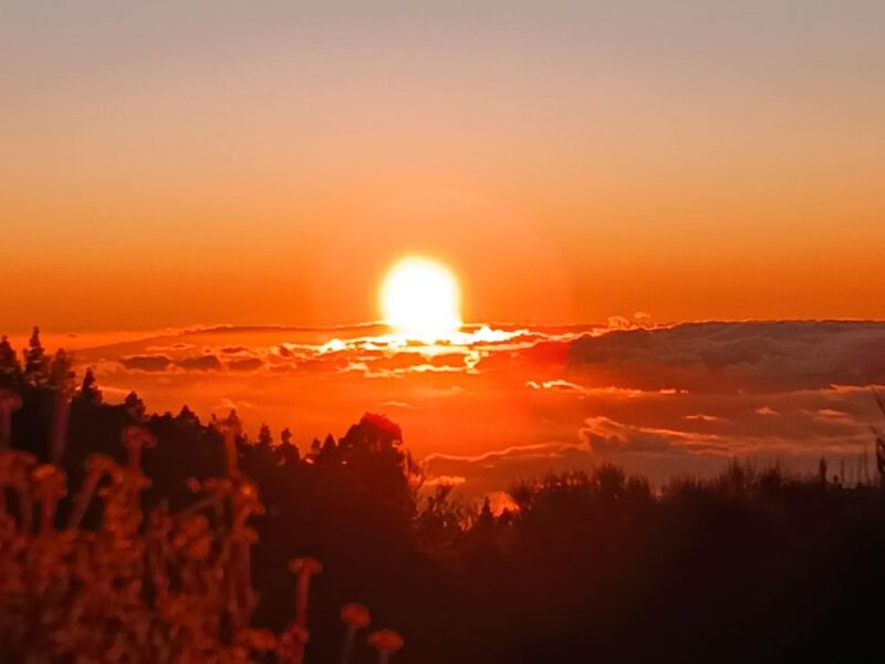 Tenerife: Teide & Stars + Guachinche Lunch + Cava Vip Tour - Stargazing Adventure