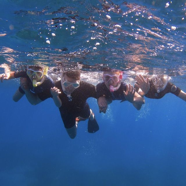 Tenerife: Turtle Bay Snorkel Discovery With Video - Gear and Equipment