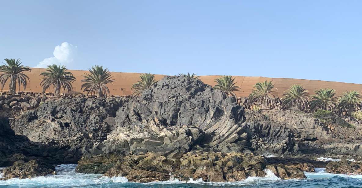 Tenerife: Underwater Lava Tongues Snorkel Excursion - Detailed Itinerary and Activities