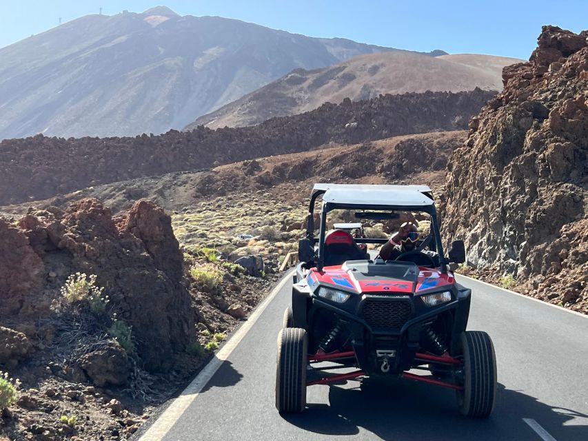 Tenerife: Volcano Teide Buggy Tour With Wine Tasting & Tapas - Relaxing Wine Tasting