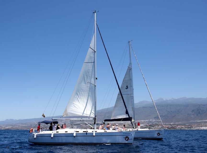 Tenerife: Whale and Dolphin Watching Tour by Sailboat - Accessibility and Restrictions