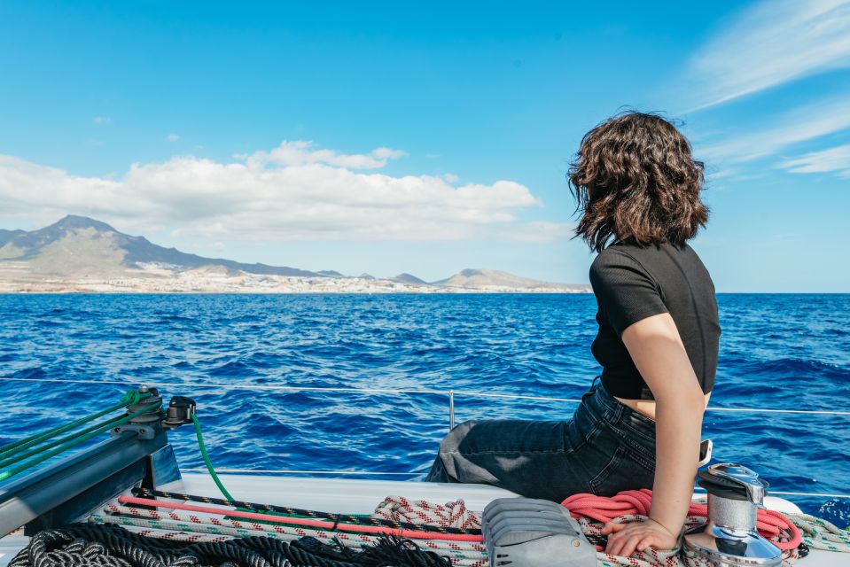 Tenerife: Whale & Dolphin Watching With Drinks and Snacks - Marine Life Viewing