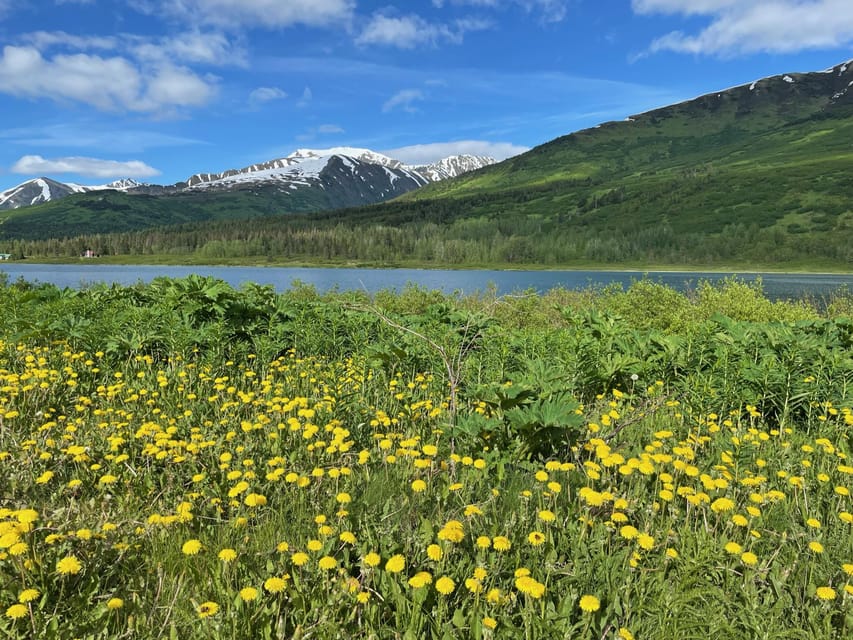 Tent City Anchorage and Wonderful Surroundings - Participant Requirements