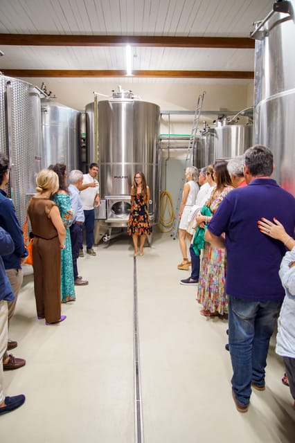 Tenuta Valle Delle Ferle: Wine & Food Tasting in Caltagirone - What to Expect During Your Visit