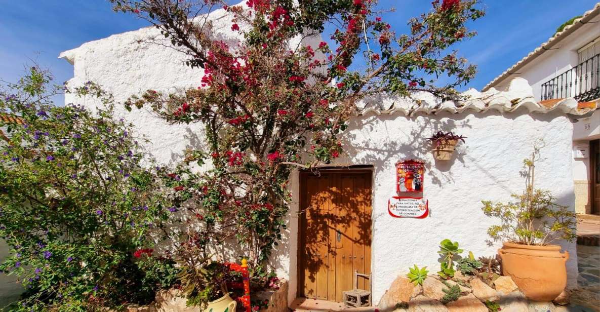 The Axarquia White Villages & Buddhist Stupa - SemiPrivate - Visit Cútar