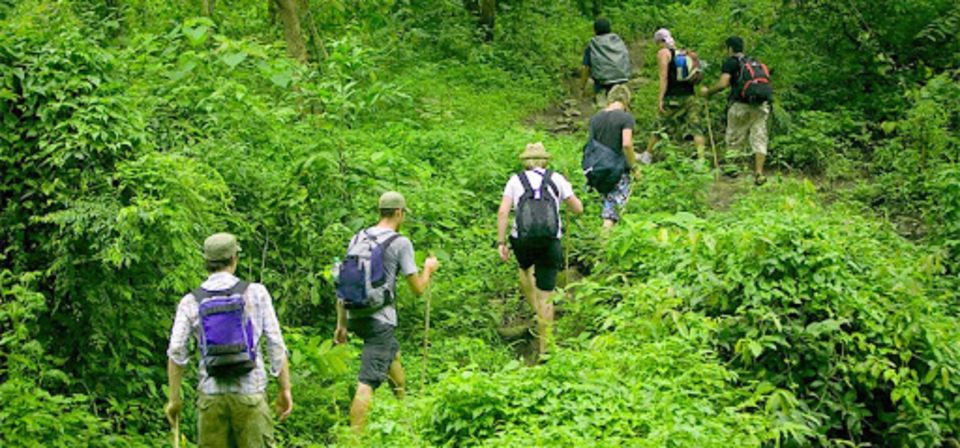 The Best Easy Trek Cuc Phuong National Park - Customer Feedback