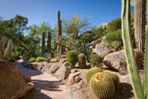 The Canyon Suites at The Phoenician, a Luxury Collection Resort, Scottsdale - Guest Reviews and Ratings