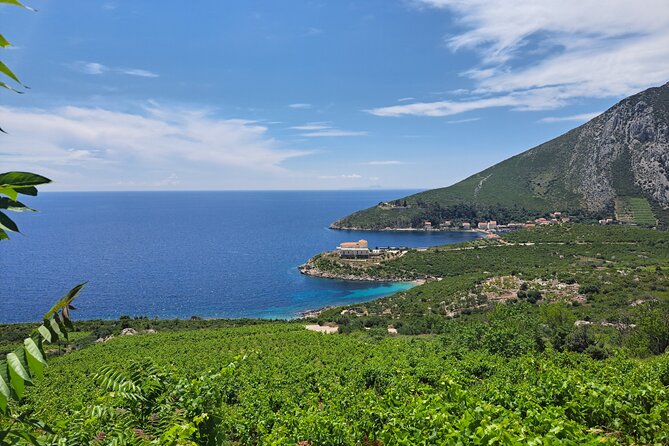 The Exquisite Flavors of Peljesac, Private Wine Tasting Trip - Exploring Stons Captivating History