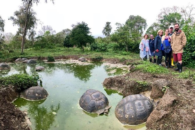 The Galapagos Giant Tortoise Experience | Los Gemelos | Shared - Lava Tube Exploration