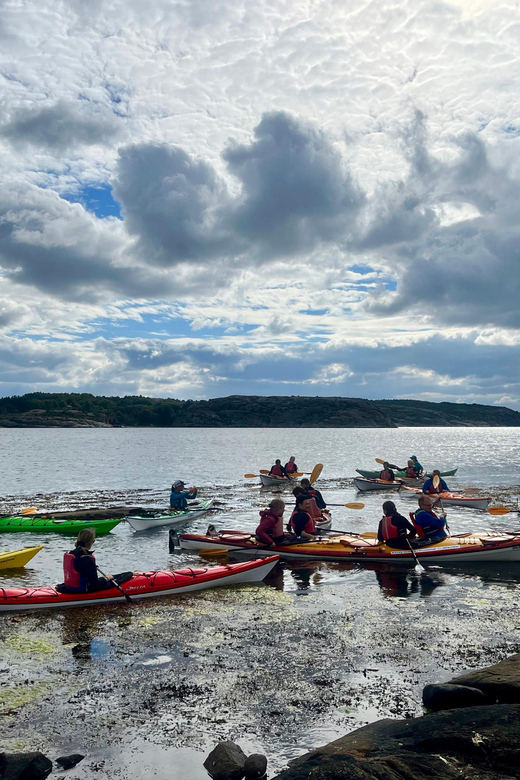 The Lunch Trip Sea Kayak Tour - Cancellation Policy