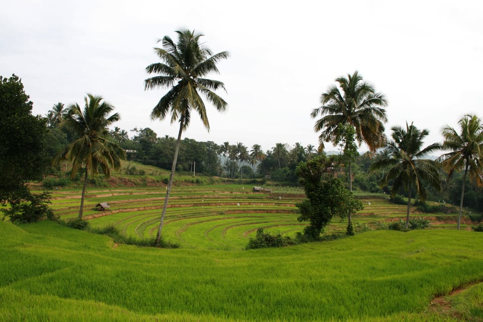 The Most Beautiful Places in Sri Lanka 3 Days Tour - Travel Tips