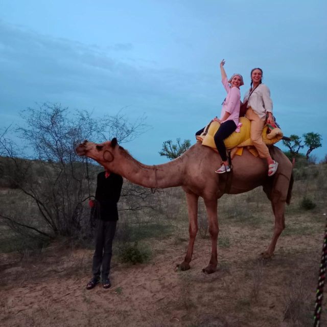 The Real Jodhpur Camel Safari In Desert Wita Marwadi Dinner - Pricing and Cancellation Policy