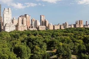 The Ritz-Carlton New York, Central Park - Room Types