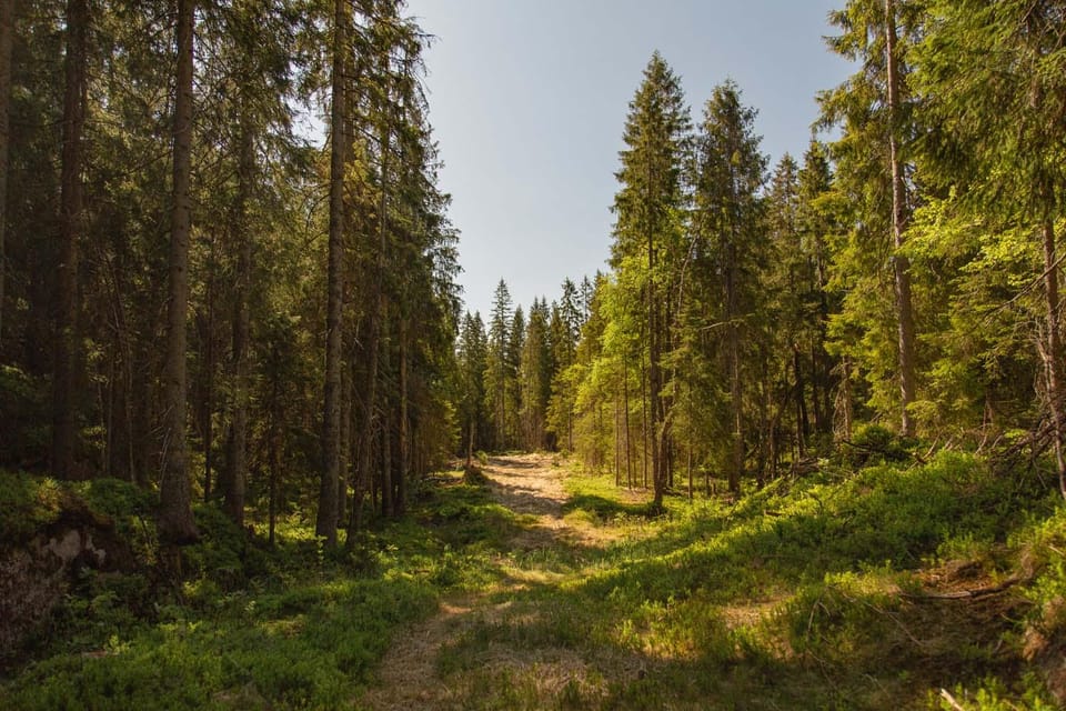 The Spectacular Holmenkollen Walk Private Tour - Recommended Packing List