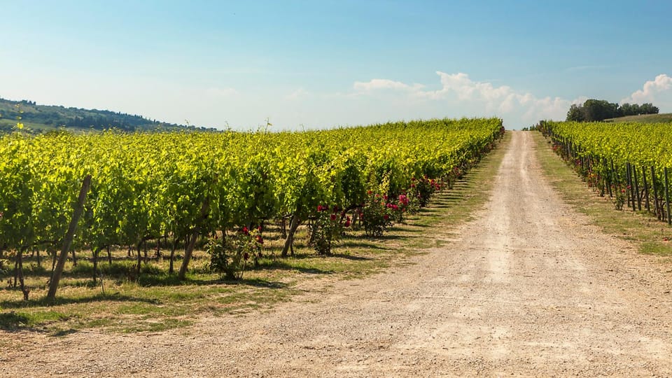 The Torriano Wine Experience Room - Tasting Experience