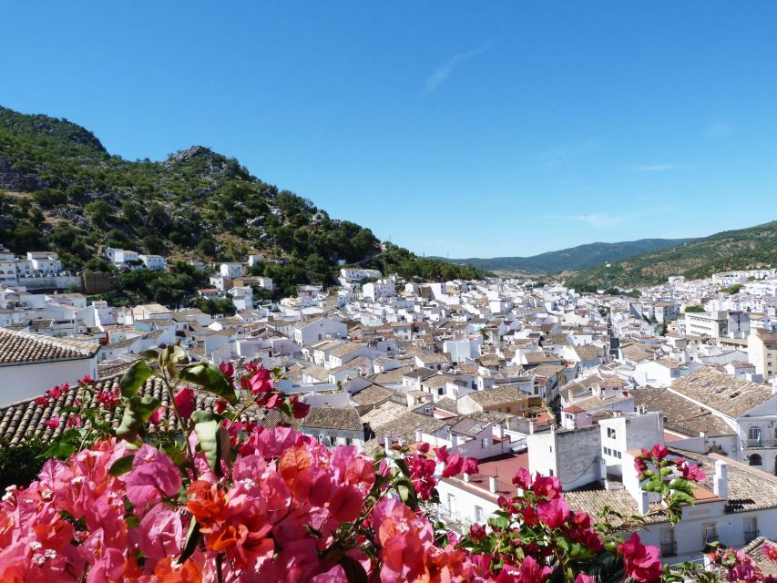 The White Towns of Andalusia: Private Day Trip From Cádiz - Customer Feedback and Ratings