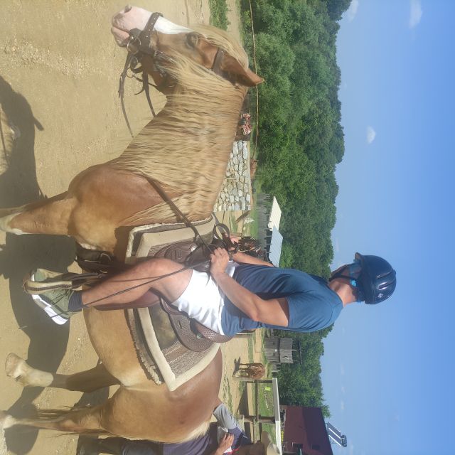 Thessaloniki:Horse Riding in a Farm - Getting to the Farm