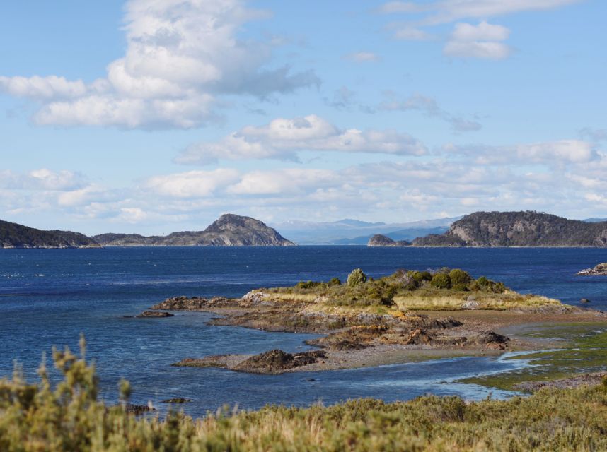 Tierra Del Fuego National Park - Half Day Tour (Not Train) - Customer Feedback