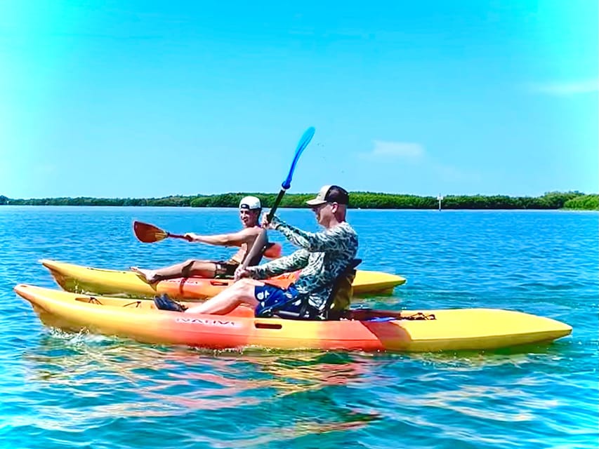 Tierra Verde: Shell Key Mangrove Private Guided 1.5 Hr Tour - Additional Tips