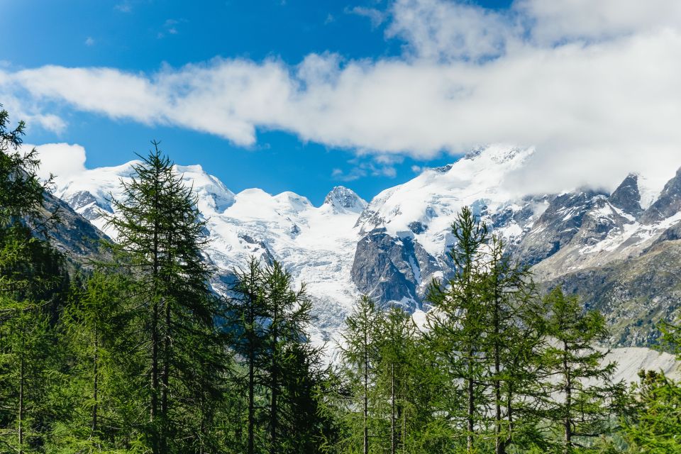 Tirano to St. Moritz: Bernina Red Train Return Day-Ticket - Onboard Amenities