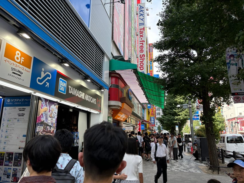 Tokyo: Akihabara Anime and Gaming Private Tour - Experience Maid Cafés