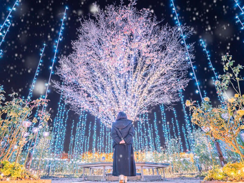 Tokyo: Ashikaga Flower Park With Entry Ticket - Customer Feedback and Ratings