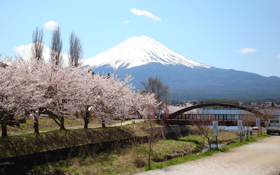 Tokyo Day Trip -Mount Fuji Private Tour From Tokyo - Important Travel Information