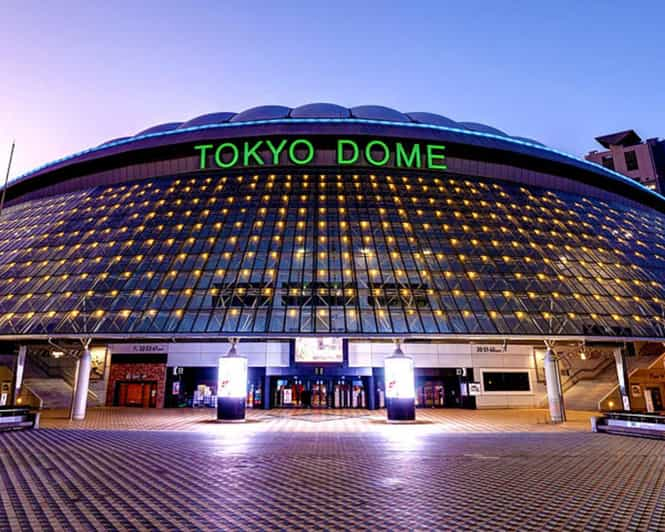 Tokyo Dome: Yomiuri Giants Baseball Game Ticket With Towel - Additional Amenities and Services