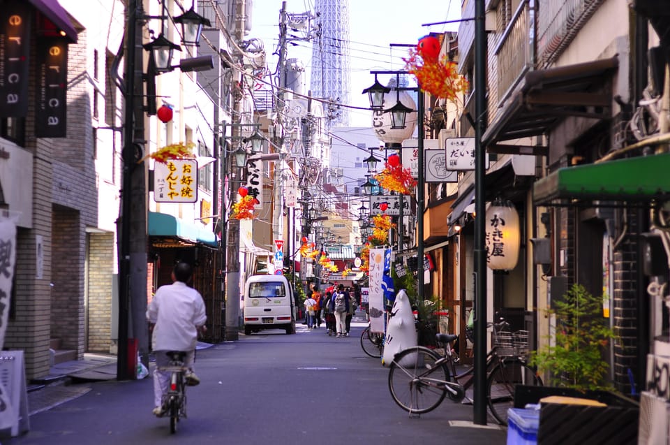 Tokyo Full-Day Trip With Daily Chauffeur - Important Travel Information